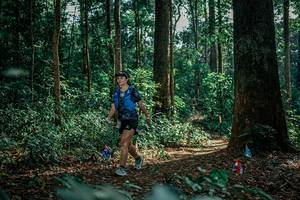 BIB: 
                            <button type="button" onclick="openModal(26134316)" class="btn btn-primary btn-sm float-right btn-popup" data-toggle="modal" data-target=".modal-high-quality">
                        <i class="fas fa-shopping-cart"></i> Add to Cart
                    </button>
                                            <button type="button" onclick="isThisMe(26134316, true)" class="btn btn-success btn-sm float-right btn-popup btn-isme hidden" data-toggle="tooltip" data-placement="bottom" title="นี่คือรูปของคุณใช่ไหม คลิกที่นี่เพื่อเอาเข้าอัลบั้ม">
                        <i class="fas fa-plus"></i> Add to album
                    </button>
                    <button type="button" onclick="isThisMe(26134316, false)" class="btn btn-warning btn-sm float-right btn-popup btn-isnotme hidden">
                        <i class="fas fa-ban"></i> Remove from album
                    </button>